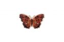 Dřevěná brož Červený motýl